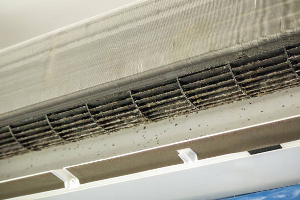 Best Residential Air Duct Cleaning  in Inverness, FL